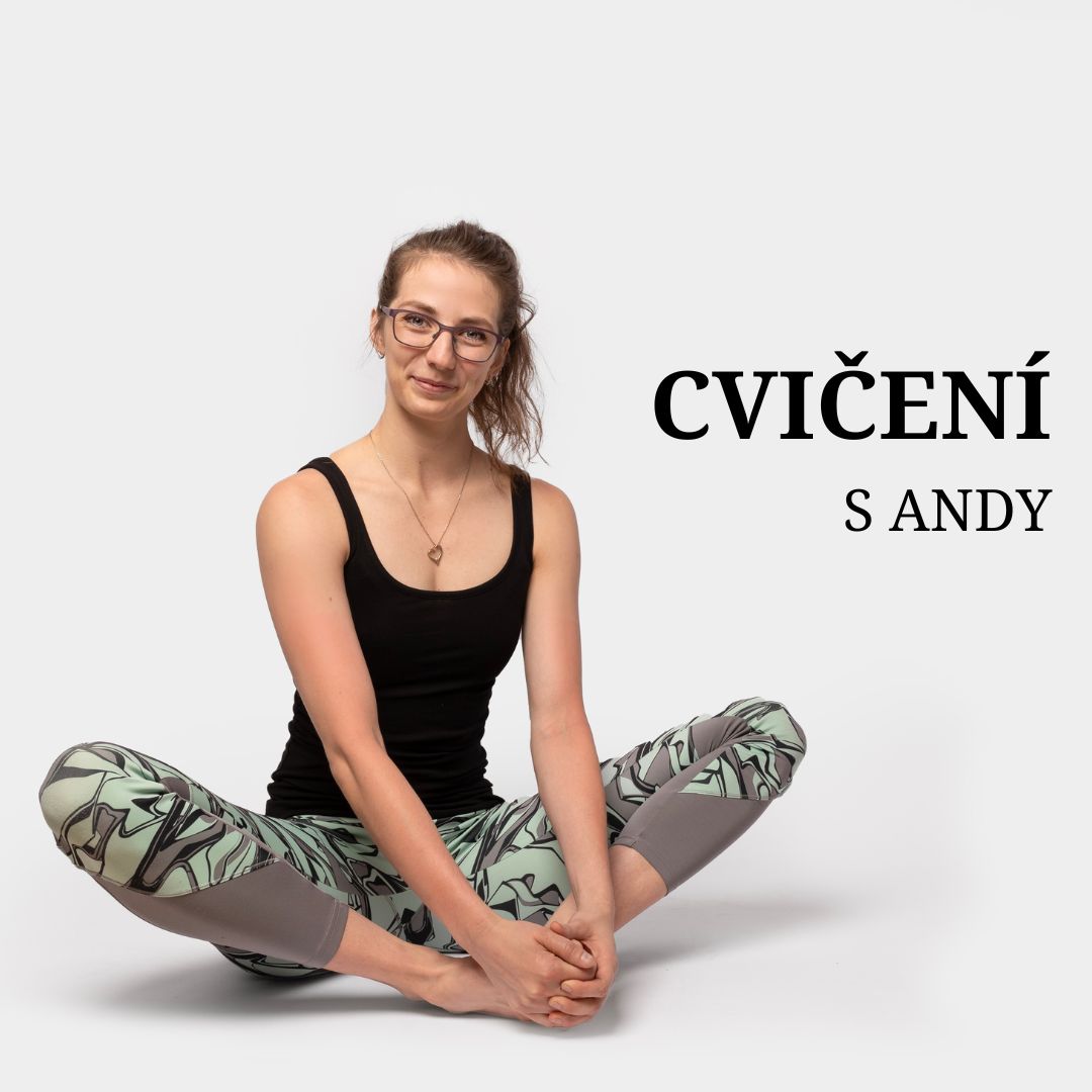 Individuální zdravotní cvičení